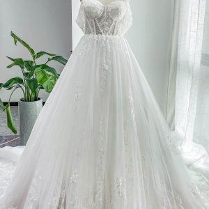 PEN177 A-Line Cathedral Train Lace Tulle Wedding Dress