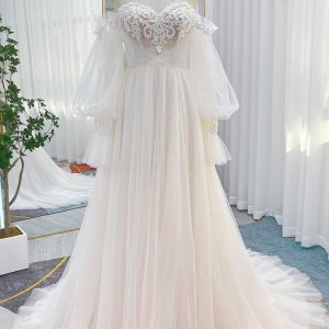 PEN183 A-Line Court Train Lace Tulle Wedding Dress