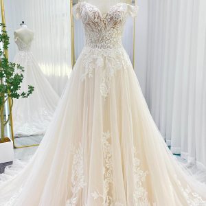 PEN193 A-Line Chapel Train Lace Tulle Wedding Dress