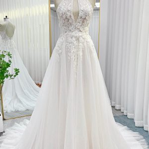 PEN191 A-Line Court Train Lace Tulle Wedding Dress