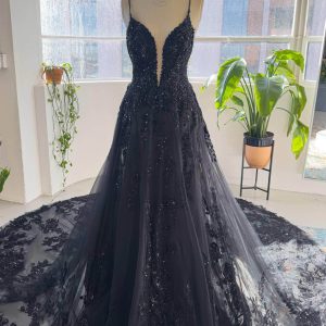 PEN175 A-Line Cathedral Train Lace Tulle Wedding Dress